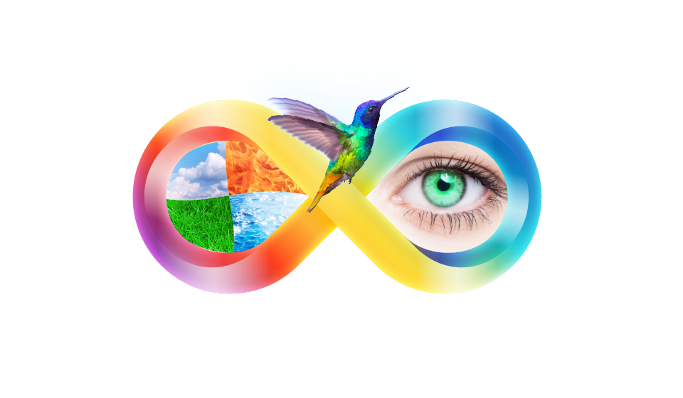 D-Logo- Clear background